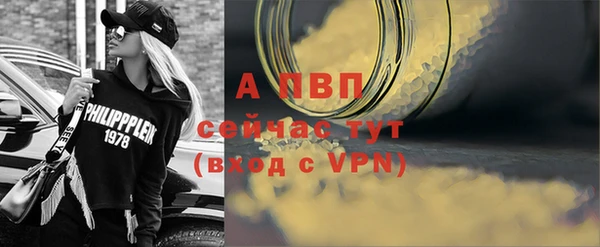 прущие грибы Зеленокумск