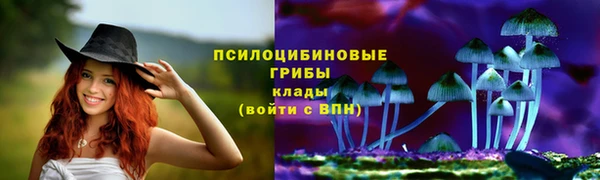 тгк Иннополис