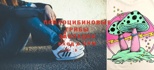 прущие грибы Зеленокумск