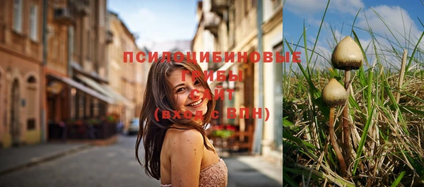 круглые Инсар