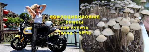 прущий лед Инта