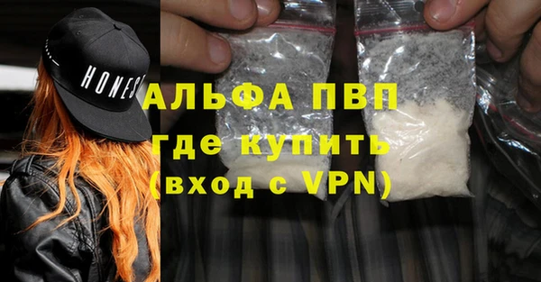 прущие грибы Зеленокумск