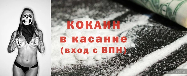 прущие грибы Зеленокумск