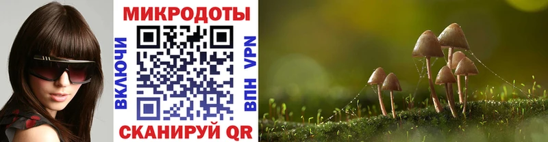 Галлюциногенные грибы GOLDEN TEACHER  Купить  Кандалакша 
